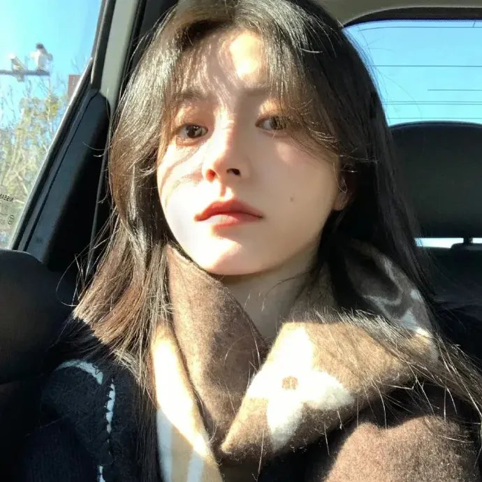 大使阁下的料理人