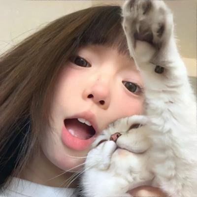 神烦警探第三季